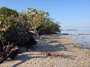 DeSoto National Memorial