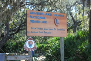 Cumberland Island National Seashore