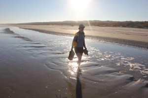 Cumberland Island National Seashore