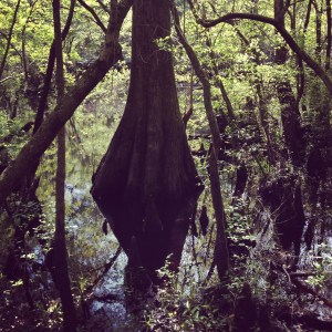 Moores Creek National Battlefield