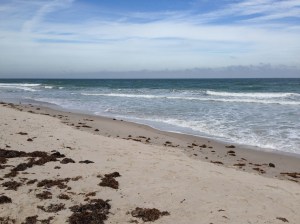 Canaveral National Seashore