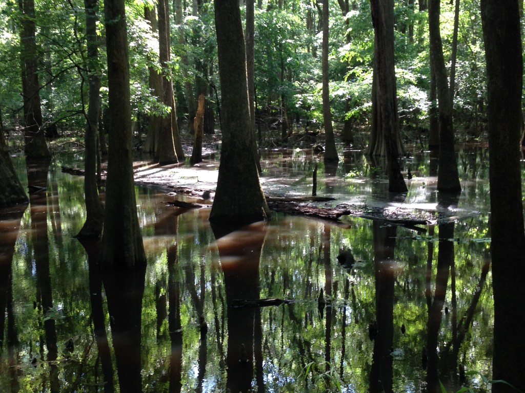 Congaree National Park