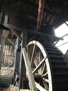 IMG_0156